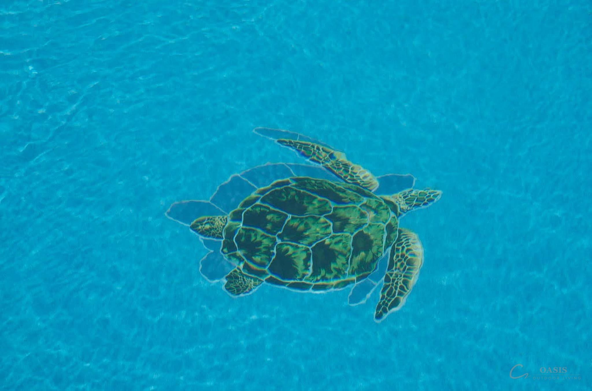 Sea turtle mosaic in pool